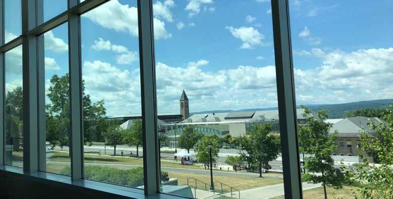CAMPUS LIFE Besides academia, you can participate in cultural events on campus and enjoy outdoor activities. Ithaca is famous for its beautiful scenery, especially spectacular gorges and waterfalls.
