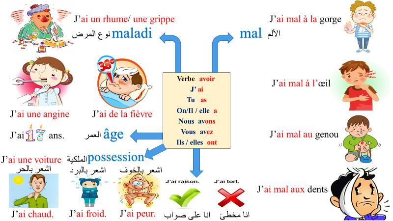 Grammaire1 يستخدم فعل Avoir في عدة تعبيرات كما هو موضح بالخريطة التالية: Choisissez la bonne conjugaison :