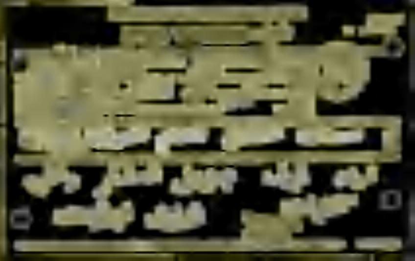(ززدملعلف اص ها 0 ا 070 +1 تايبلعت ةيرادا د