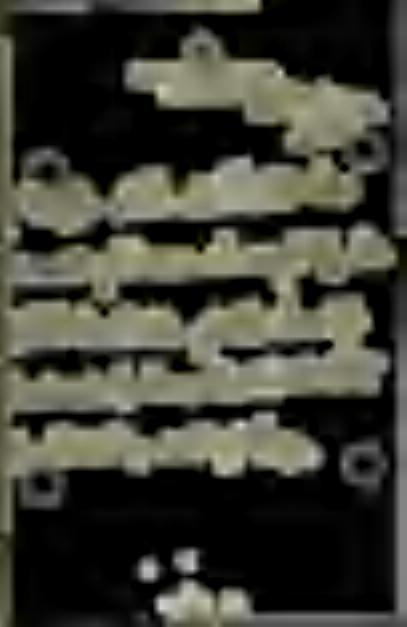 ذةللا اس ار همم