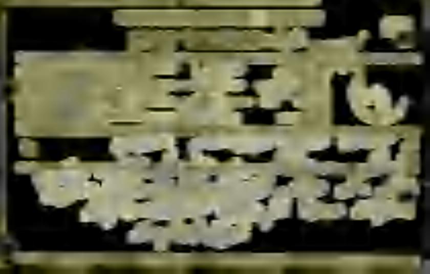 1150105 11 * 3 155-0000 را ا حصل باس 2 0