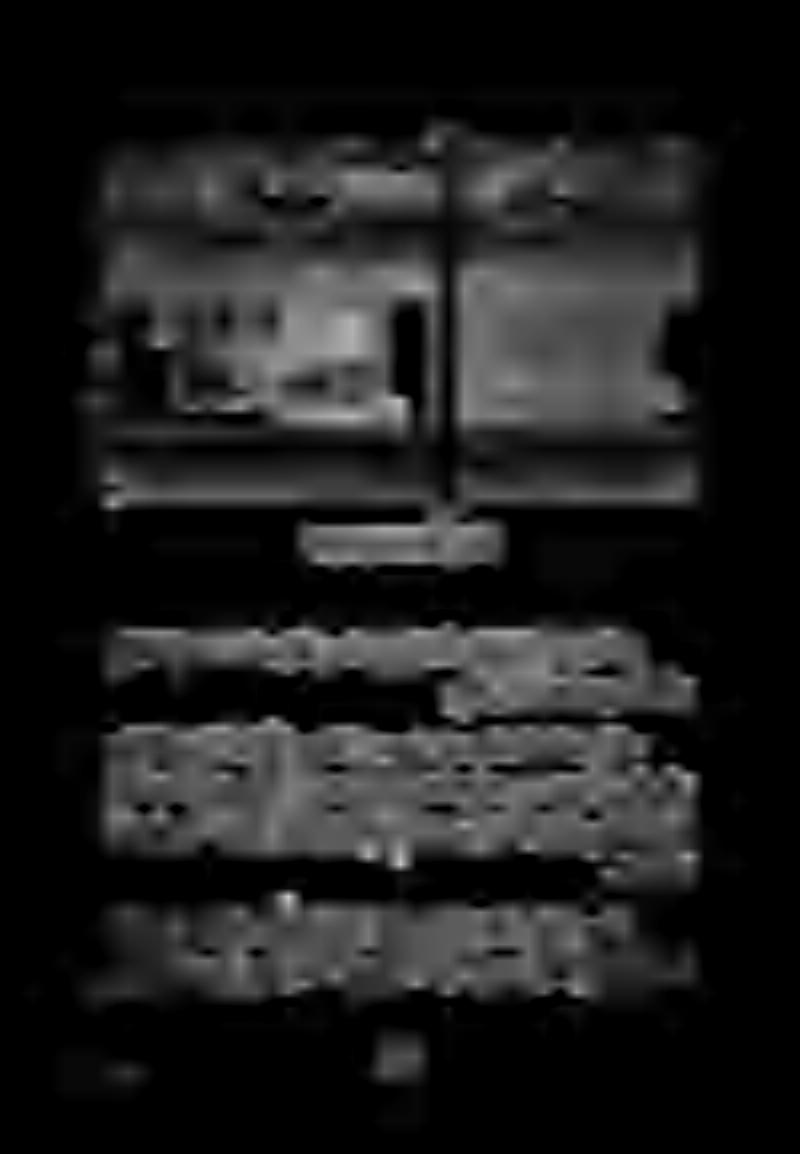 ةطيسو وأ ءةتباث ةروص انايحأ يوتحت ةيلعافت ةحاس نع ةرابع وهو (راسيلا