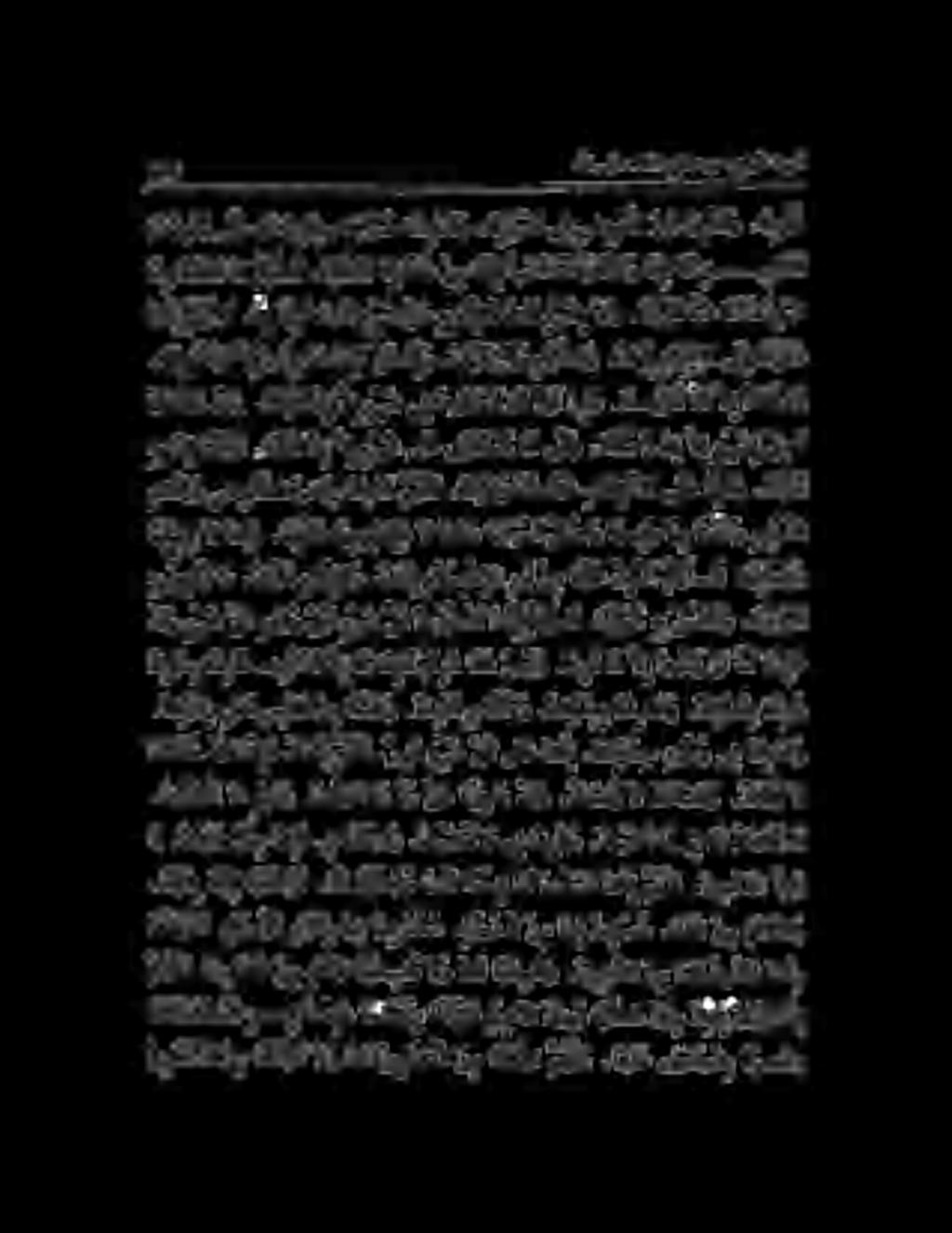0 كرا يتمتا نسح ا ندهشأو.ا نرارتسأ ىف ضيو فتلا رو ث قرشأو.ا بو ل ( ١ هللا ىلع ءانثلا عماج نم عبارلا درولا. 0 ني رف ب 0 2 مر م.