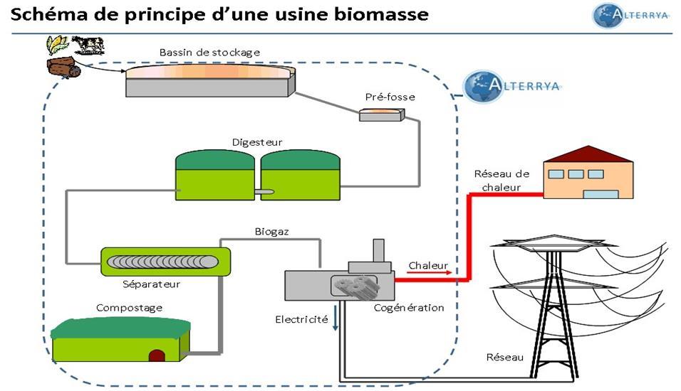 Chapitre I Généralités sur les énergies renouvelables Figure I.5 schéma de principe d une usine biomasse. I.3.