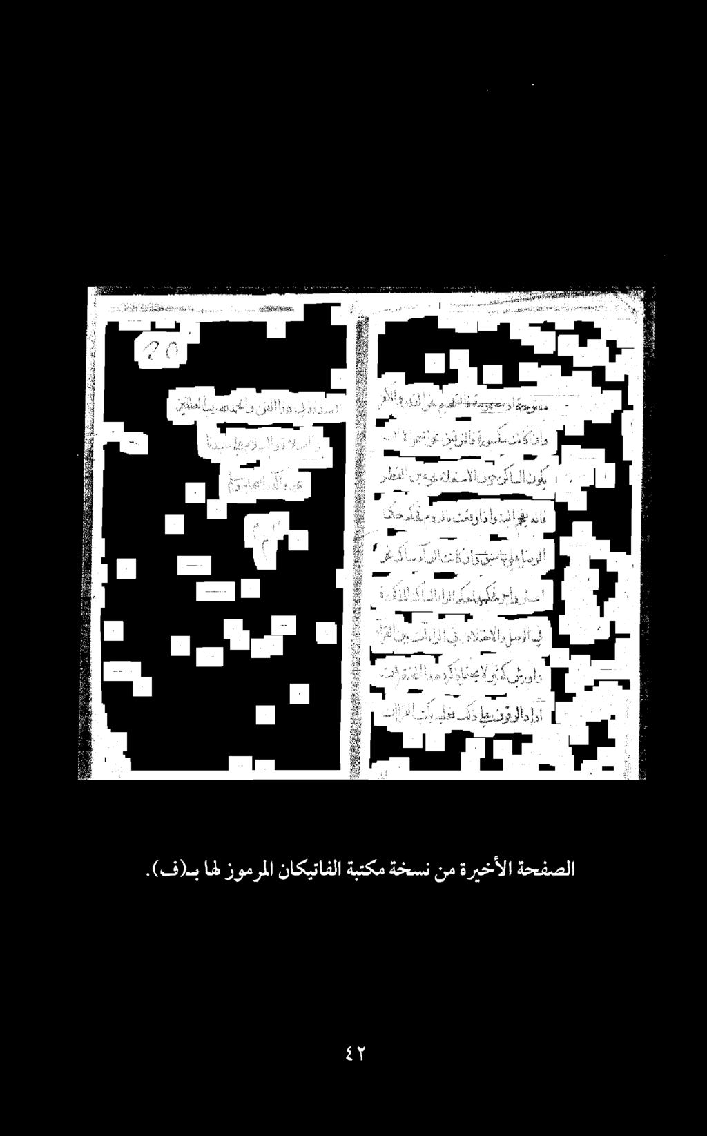 ناكيتافلا