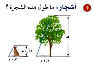 طول ظل الشجرة طول ظل القطة ه 0,5,,, م ه 0, 0, 0,5 طول الشجرة, م بما أن المثلثين متشابهان