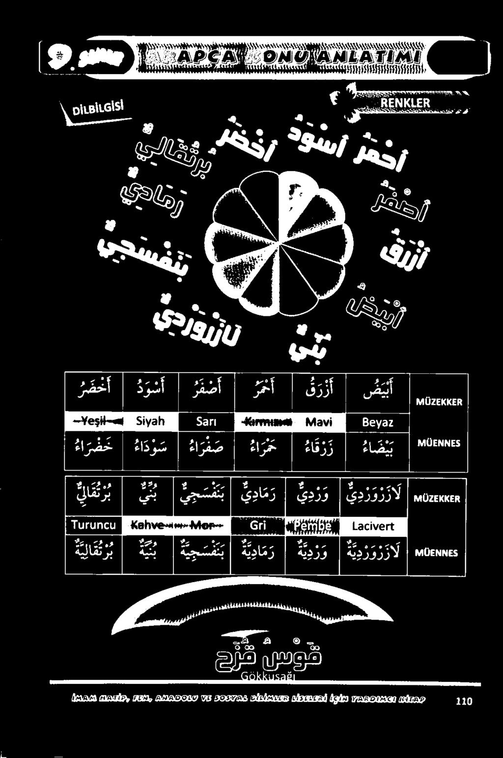 لو. 22 وسم معه