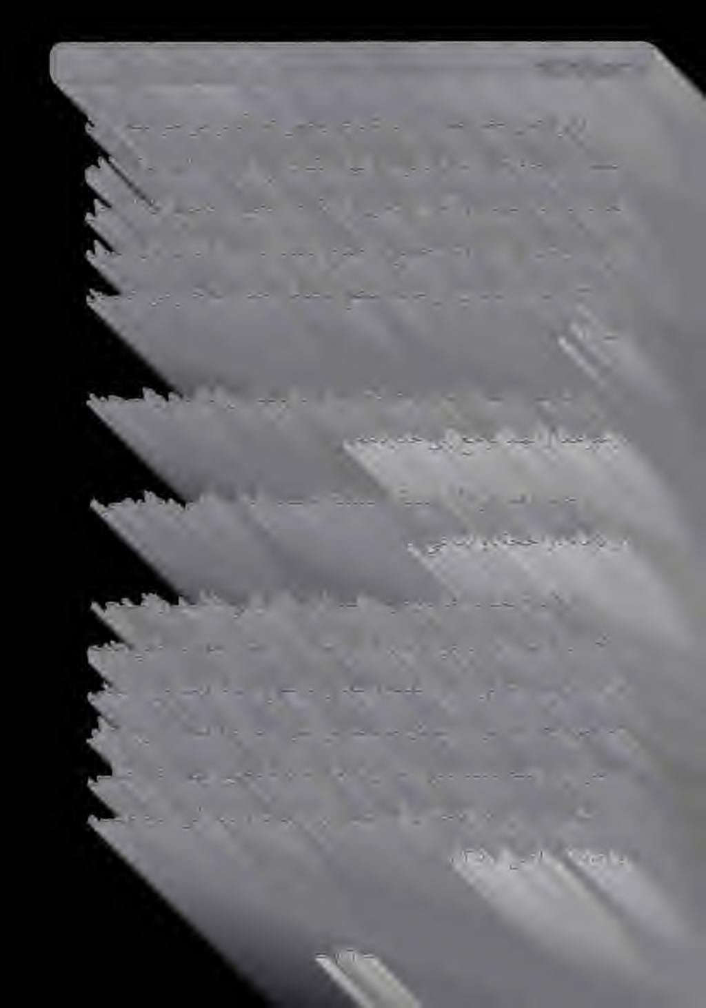 نيسمخ نم ريخ اهدودحو اهدحب عطقنم ملاع نم نيتعكر ةالص HE هللا لوسر لاق كلذكو» هيلإدابعلا جاتحتام عيمج نيتعكرلايفنيبدق هركذ لج هللا نأملعاف» امهدودح ةنابإو نيتعكرلارمأنمهانركذامىلإ دوعن مث" : ةقباسلا