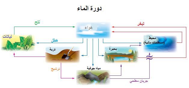 ( الفرض: الزاويتان متقابلتان بالرأس. النتيجة: الزاويتان متطابقتين. اكتب كل عبارة شرطية مما يأتي على صورة)إذا كان...فإن...(: مثال 3( إذا اشتريت خمس قوارير فإنك تحصل على قارورة مجانية.