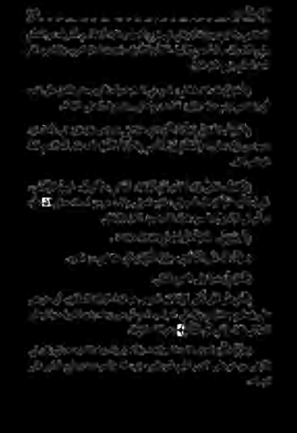 همدق ىلع نسانلا رشحي يذلا هنأب ثيدحلا يف هرسف : ينالطسقلا لاق ( ر شا ح لا) نه ىبسألا باتك نبا هذخأ : يناقرزلا لاق بهاوملا يف اذكه هركذ ( ه للآ ها رأ ا مب م كا ح لآ 5 ظفل مسالا نأ ركذ هنكل ع هللا كا