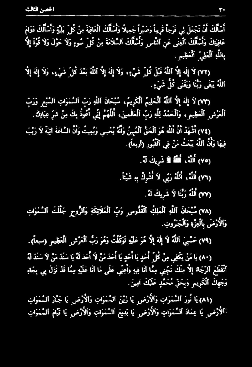 ناي (81).