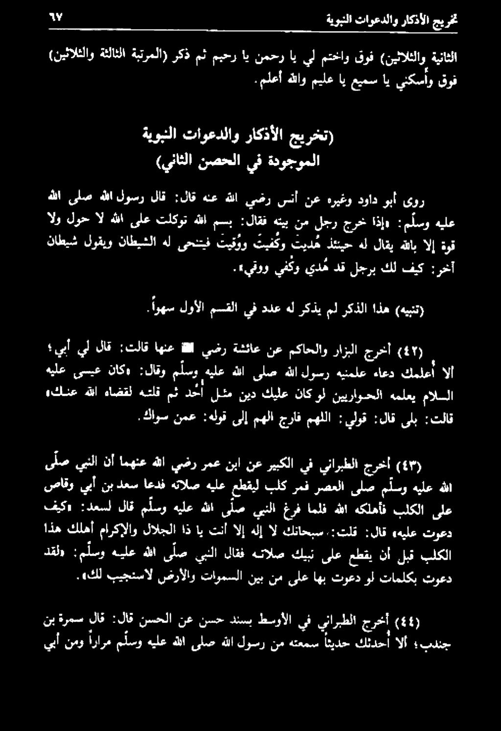 ميلع هللاو ملعأ.