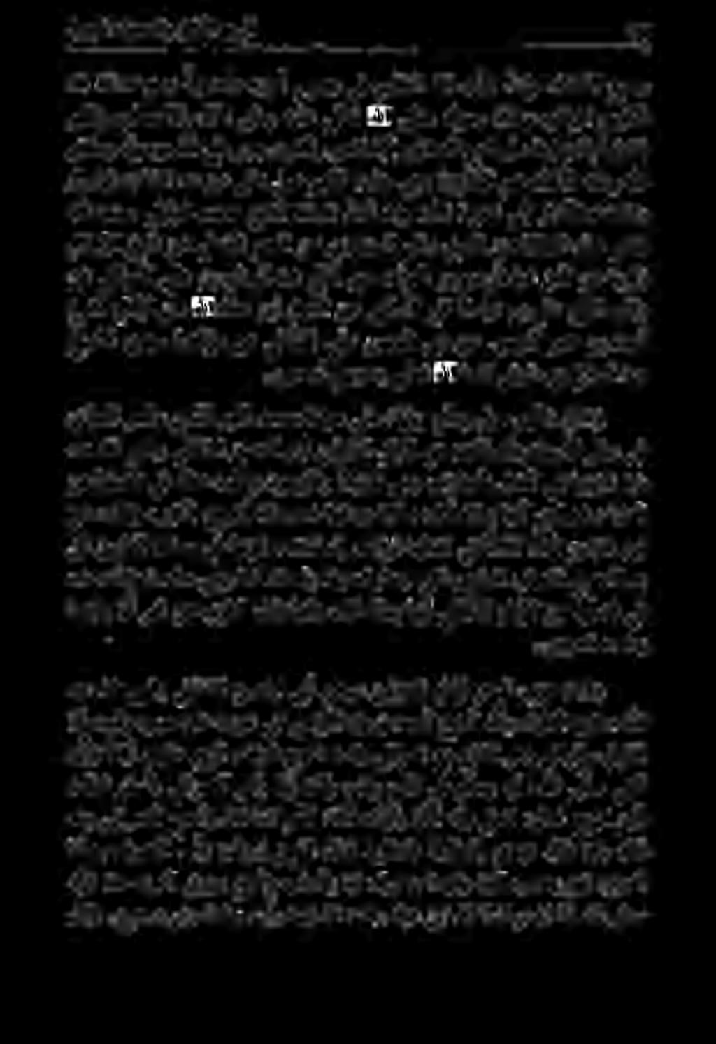 هلوق دنع دارملا يونيو عفدلاو بلجلاب هيف فرصتي ةيهلاو ةينلا بسحب وهف بزحلا لاقو حيحص رهو هطخب تبار امي هللا همحر دابع نب' لاق امك رحبلا اذه ال رخس اذهب فرصتلا امأو :قورز خيشلا لاق اهرظناف ةياكحلاب