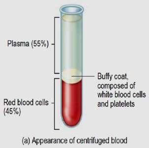Blood Blood Is a fluid type of connective tissue characterized by having a liquid extracellular matrix (plasma) in which are dispersed the formed elements of blood: (1)Red blood cells(erythrocytes),