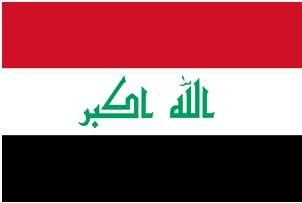 VOC IRAQ List of products and standards Preinspection, testing & issuing certificates of conformity Program of goods imported into Iraq 9050000 28092010 35030010 35030010 29181400 29181200 29239000