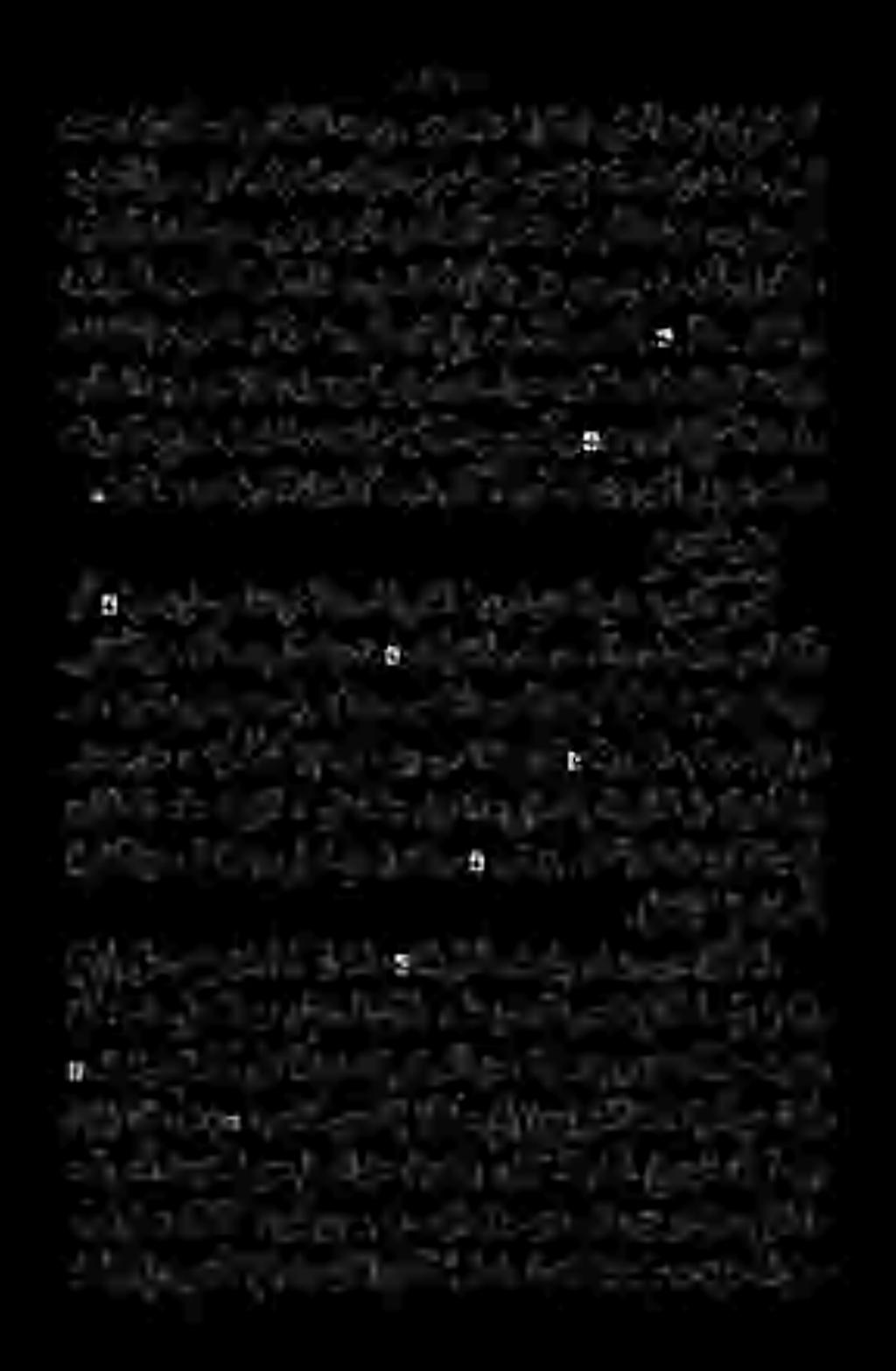 .«ةمايقلاموب ممآلا مب هابمىنافاورئاكت.نيبتي اذه نمو. هرس هللا سدق ) ناطلس لاب ( جاوزلا اذه تارمث نس ىف وهو جوزت هدكلو ءدرجتي 0 وأ : اهبضورف نه اضرف الو ةقيرطلا طورش نم اطرش درجتلا تافصلا هذه هلهؤتف.