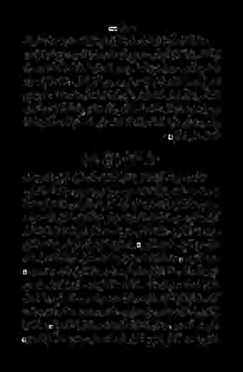 ا مالسنإاو ءادقلل نمرب ) دنب خب 0 مدقتأا دنع هقنع هب قوطي ىذلا عيفرلا ل احلا نأ: ةيشاتكسإلا ةقيرطلا ءانبال هتفرعم ردت ام أمدنعهن]:اهبتصالخ ورتاوتلاب هن ةقيرطلا ءانب أ ابلقانتي ةصقىلإ دلقتلا اذه عجديو