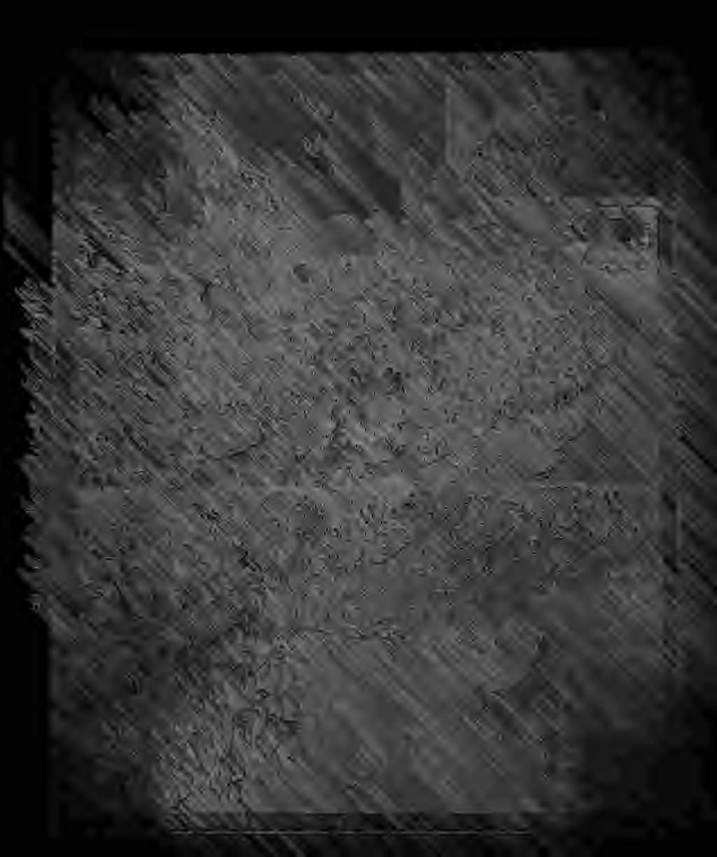 يس ب نسج ه ر ج هيض ح ر ب ي ذه س ذ يبي رخ ففي يإ رب ر, ه سي أ ج ب يرضن سس يس ط يك خ ىءب ق هيف ي ذي «كي سج ص صح س ى سح هس ج ج ييجي ج ب ه رج س هر نه سه هي يص ص س تي كنج ريفر ي هي ري كس ر ريس >