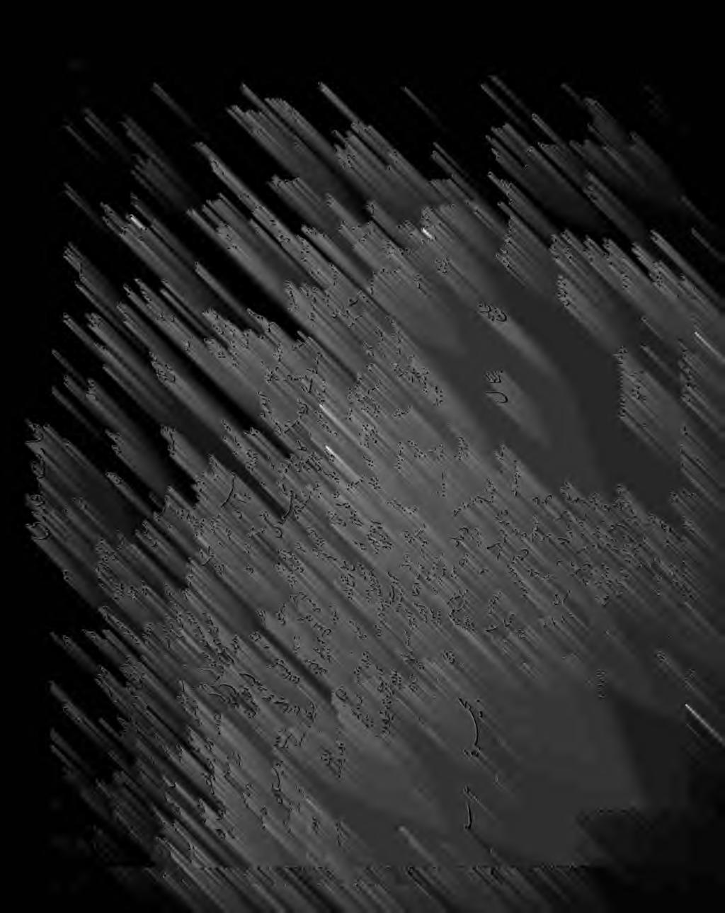 / ط "ب ى ك يك ريك ءيإك ر خ ر يي جيص نق ذ ن ي ٠ ب ه ص ييجي ي سر ك ج يص ي هج يش ني ه هه يس ٠ يب ر يح يك ن ير ير ي رط ر س ير ك ٠ إ هت كك ه هرج ت رس ه ج ي ر ب ري خ ي ن تي ب ٠ ٠ ) ر, نس رث* سس ( رس ه /) "