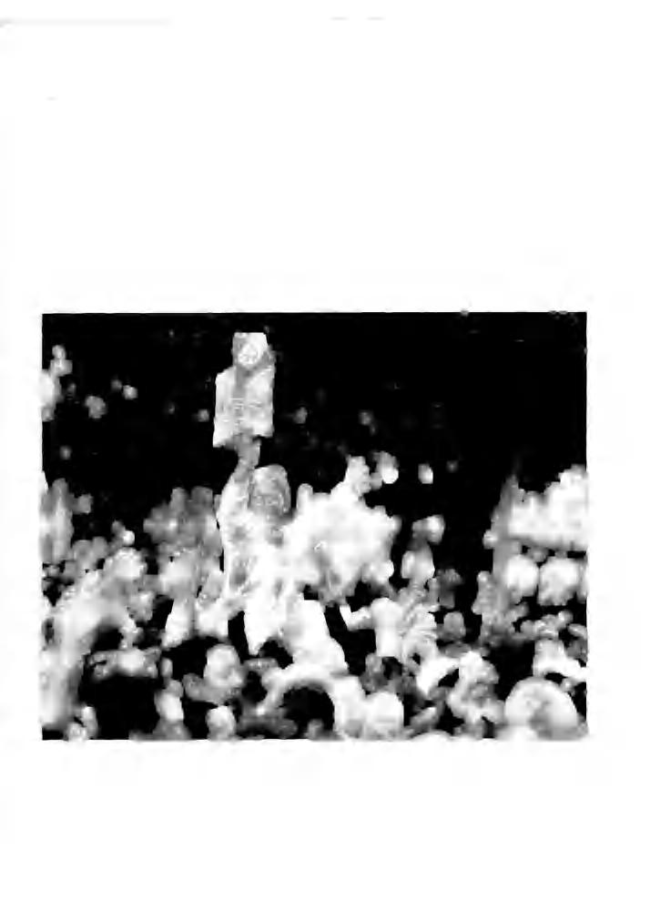 -360 361 ص 2005 ةنس ةفرعملا ملاع -