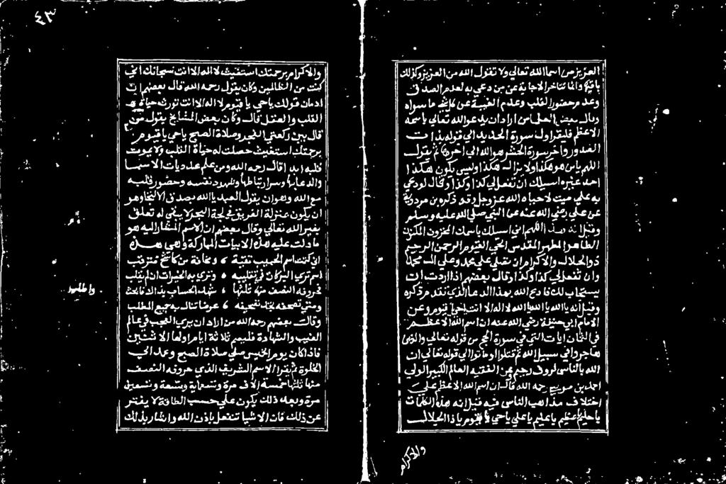 دصلارمدعل هر يع د نم نم اج ارخاتت اما و فا ناکو لاف_لتنعل لاو بلقلا ث ےن لاف مدلا هحر لوتبناکو نیم الا نم تک بو ةايح كرون تناالاهلا الموت اب یحاب كلو م نامدا لاو 3 تم ب هلونف يا دي دح عروس كوارتيلف