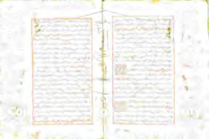بیتا تن. چک.