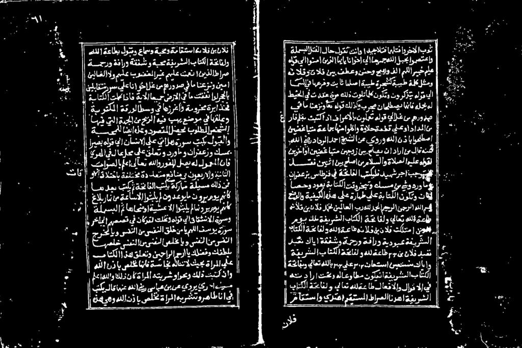 ةخئانلو عالم ةعاسنالا ویل نو دعويام ت وروي منا ةلبسبلا اهانت ةبيسع الا اول انوریروی ماك حب ۱ هم د ارا تو هلاعو اطم نولبن اةفیرشملاب اتكلا )نکلا ةتءانل و بات هلع اطل اعقالاو لا الإ یت 1 ةی ی ر نلا
