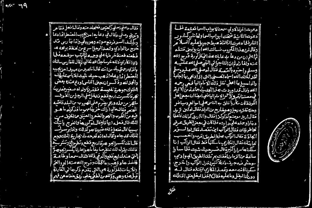 هللدجلاو دو ارث ن ضعت!