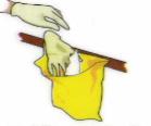 Wipe up the spill using absorbents towels 5.