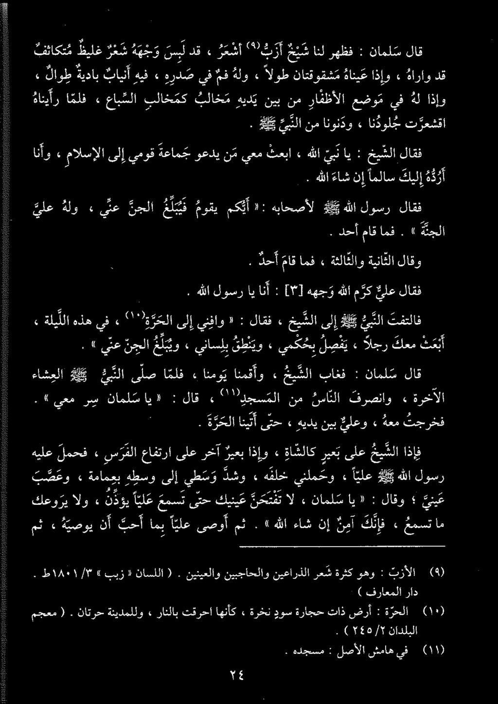 . هدجسم : لصالا شماه يف (۱۱) مجعم (. ناترح ةنیدمللو» رانلاب تقرحا اهنأك» ةرخن دوس ةراجح تاذ ضرآ : ة رحلا ۱۰. ) ۲۵/۲ نادلبلا ٠ ) فراعملا راد ط ۱۸۰۱/۳» بيز ناسللا (.