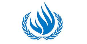 المؤسسات التابعة لألمم المتحدة لجنة التحقيق الدولية املستقلة بشأن