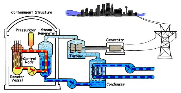 المغلي يولد التفاعل المتسلسل ح اررة لغلي الماء المهدي في قلب المفاعل وتنقل األنابيب البخار المتكون من المفاعل الى ( توربينات ) المحطة.