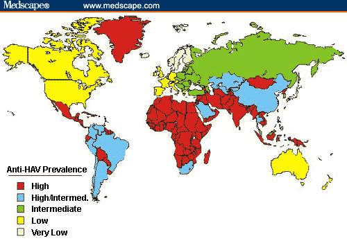 المعلومات األساسية- نظرة عامة التوزيع العالمي اللتهاب الكبد )أ( Photo Credit: Blumberg تم العثور على الفيروس في جميع أنحاء العالم ولكن االنتقال المتوطن المتقدمة.