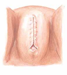 املرأة البدنية والعقلية واإلنجابية وأية أمور أخرى تتعلق بالطب النسائي.