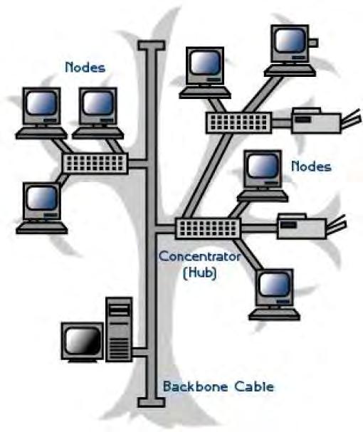 3 سهلة التركيب والصيانة. عيوب الشبكة النجمية: 1 تعطل المجم المركزي يؤدي إلى انهيار الشبكة بالكامل. في هئه ال نية قد تحد تصادماا Collision مما يؤدي إلى إبطاء عمل الشبكة.
