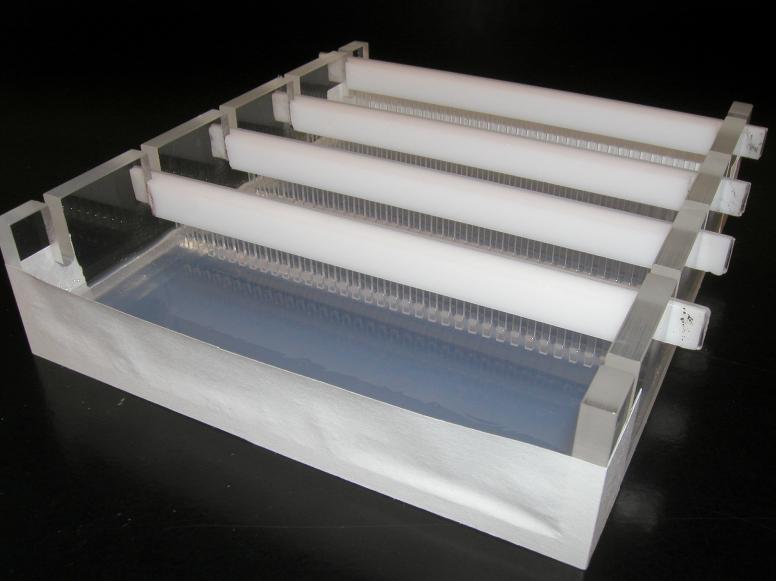 When cooled, the agarose polymerizes, forming a flexible gel. It should appear lighter in color when completely cooled (30-45 minutes).