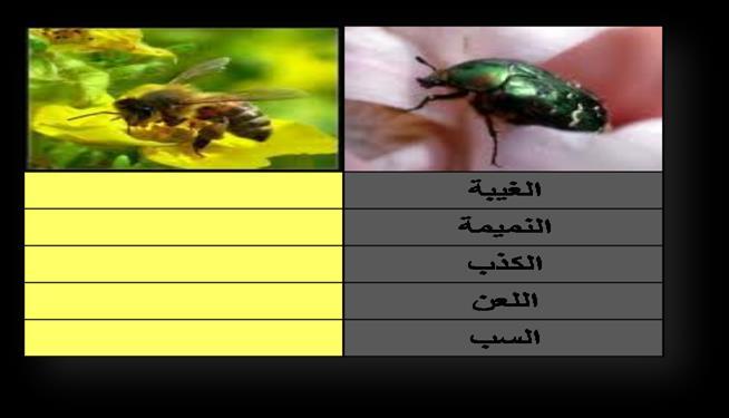 اجملال التشابه االختالف الشكل املادي األمور املعنوية
