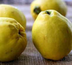 0.525 تفاح )أصفر(