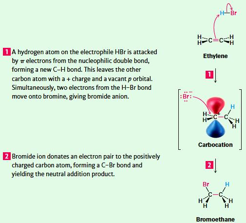 Mechanism of Addition of HBr to Ethylene آلية ضم HBr إلى اإلتيلين يبدأ التفاعل بتثبت البروتون على إحدى ذرتي كربون الرابطة