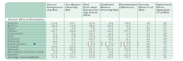 TEA, Established Business, Discontinuation Rate in 2010 This might call for need of more focus on established and growing businesses to achieve growth and entrepreneurship rather than just early