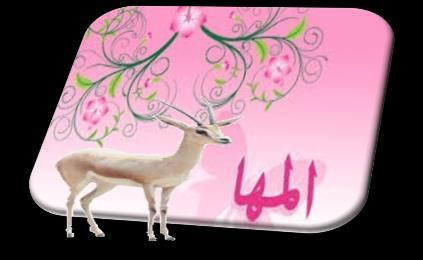 إ د بء ر زف ثغزاسح ) ؼ : ( اىزضجش اىزؼجت اىز جغ اىضخش خ ).