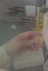 Figure 4: Pipetting of 1µl of M-MLV(RT) / الاورة 4: - Mإمتااص 1 ميكروليتر من MLV Figure 5: PCR machine / آلة تفاعل البلمرة المتسلسل 5: الاورة Fourth: we purified the PCR product on an agarose gel; we