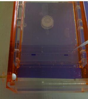 eppendorf tube 6 µl of the DNA (HLA- A*2020 or β-2m) + 3µl of glycerol + 3µl of bormophenol blue) into the wells of the gel prepared, we closed the lid of electrophoresis chamber and applied the